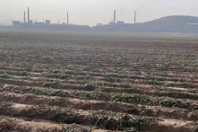 TQ: Người dân ở “làng ung thư” Hồ Lô Đảo kêu cứu vì ô nhiễm hóa chất công nghiệp