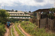 Xây dựng lại Đường sắt răng cưa Đà Lạt – Tháp Chàm sẽ tiêu tốn 27.780 tỷ đồng