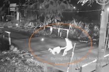 Nhân viên gác chắn kịp thời cứu người thoát chết trong gang tấc