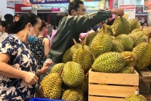 Sầu riêng được giá, 8 tháng xuất khẩu được 1,2 tỷ USD