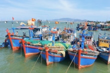 VASEP: Doanh nghiệp tốn đến 400 triệu đồng để xuất khẩu 1 container sang Mỹ