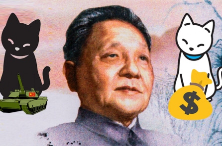 ĐCSTQ không chọn mèo đen, cũng không ưa mèo trắng