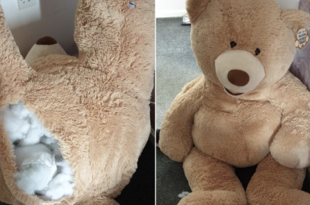 Cảnh sát Anh tóm gọn tên trộm ô tô trốn trong gấu bông 