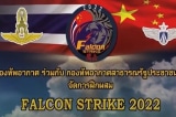 Falcon Strike