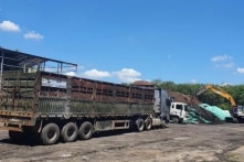 Điều tra vụ chôn lấp rác thải trái phép có quy mô 28.000m2 ở Bình Dương