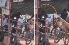 Bé trai hơn 10 tuổi lái phà chở người và xe qua sông Đồng Nai