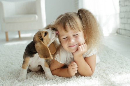 Nghiên cứu: Chó “khóc” nhiều hơn khi được đoàn tụ với chủ?