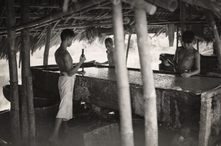 Đại Việt thời xưa từng là nổi tiếng về sản xuất giấy