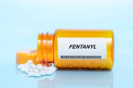 369 triệu liều fentanyl chết người bị Mỹ thu giữ chỉ trong một năm