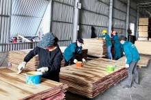 Mỹ sẽ áp thuế gần 200% gỗ ván ép Việt Nam nếu sử dụng nguyên liệu Trung Quốc