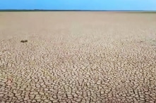 TQ: 95% quận ở Giang Tây khô hạn nghiêm trọng, nông dân Hồ Nam chống hạn ngày lẫn đêm