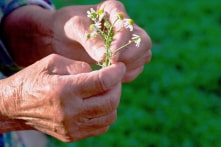 Bộ ảnh rạng rỡ không tuổi của cụ bà 80 tuổi gây sốt MXH Trung Quốc 