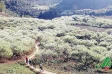 Bộ GTVT không đồng ý quy hoạch sân bay Mộc Châu 6.500 tỷ đồng