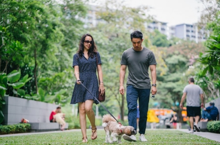 Đi bộ 2 phút sau bữa ăn có thể giúp điều hòa đường huyết