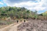 toi het nam 2030 lam dong du kien bien hon 5 814 ha rung thanh dat du an