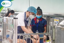 BV Nhi Trung ương: Ca nhiễm virus Adeno tăng bất thường, 6/412 bệnh nhi đã tử vong