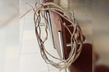 7 người nguy kịch sau khi uống nước cây lạ: Chất độc thường có trong lá ngón