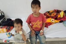 Ăn nhầm trứng cóc, 3 cha con ở Nghệ An bị ngộ độc nghiêm trọng