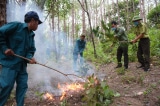 gan 400 can bo cac so huyen o gia lai xin nghi viec