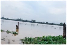 Nguyên quyền Giám đốc Bệnh viện Phụ sản Tiền Giang nghi nhảy cầu tự tử