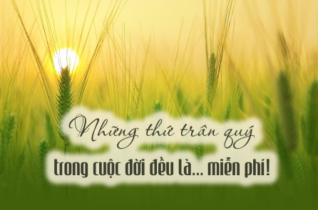 Những thứ trân quý nhất trong cuộc đời đều là… miễn phí!