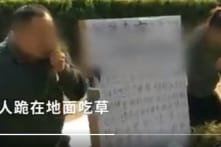TQ: Video cặp vợ chồng “biểu diễn ăn cỏ” để quyên tiền chữa bệnh cho con