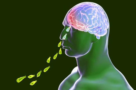 Ấn Độ: Gia tăng số ca nhiễm “amip ăn não” gây tử vong tại bang Kerala