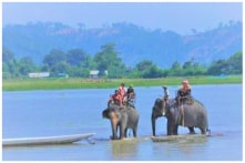 Đắk Lắk thực hiện dự án hơn 55 tỷ đồng để chấm dứt du lịch cưỡi voi