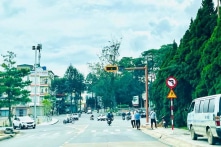 Đà Lạt dự chi 119 tỷ đồng cải tạo đường, lắp thêm đèn xanh đèn đỏ