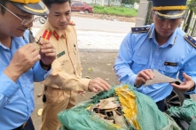 Móng Cái (Quảng Ninh): Phát hiện 30kg vây cá mập khô không rõ nguồn gốc