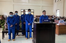 Phá rừng Măng Đen tại Kon Tum: Lâm tặc bị phạt tù, cán bộ bị khiển trách