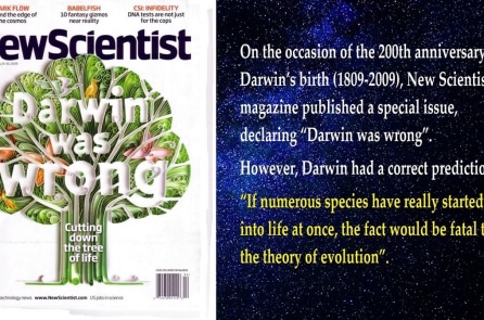 Một tiên đoán đúng của Darwin
