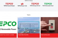 Tepco Group chi 33,1 triệu USD, mua 25% cổ phần của Phát triển điện lực Việt Nam