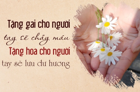 Tặng gai cho người, tay sẽ chảy máu – Tặng hoa cho người, tay sẽ lưu lại dư hương