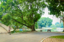 ‘Không đủ trả lương cho người bán vé’, Sở xin dừng bán vé vào Công viên Thống Nhất