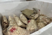 Hơn 25 tấn thịt, nội tạng bốc mùi dành bán vào nhà hàng, quán ăn ở Đồng Nai