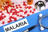 malaria