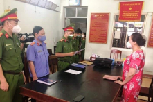 Phú Yên: Kê khai từ 328 tỷ xuống 160 tỷ, nữ chủ tịch HĐQT trốn thuế hàng tỷ đồng
