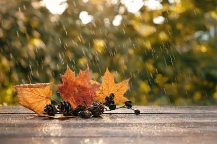 Đến tuổi trung niên, hãy dẹp bỏ những ân oán 