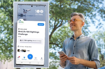 Ứng dụng dành cho người yêu chim góp phần bảo tồn động vật hoang dã