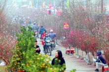Ngày 29 Tết Nguyên đán 2024, miền Bắc đón không khí lạnh mạnh