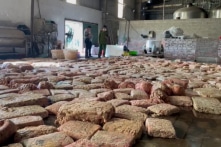 TP. Móng Cái: 12 tấn lòng lợn hôi thối chờ tẩy tại cơ sở của người Trung Quốc