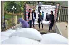 17 tỉnh nhận 18.000 tấn gạo cứu đói dịp Tết Nguyên đán Quý Mão và giáp hạt năm 2023