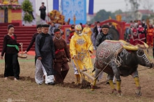 Lễ hội Tịch điền Đọi Sơn 2023: ‘Vắng bóng’ quyền Chủ tịch nước