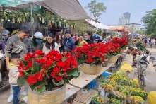 Chiều tối và đêm mùng 2 Tết, miền Bắc đón không khí lạnh