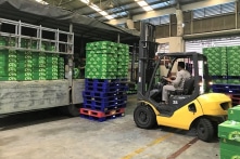 “Về tay” người Thái từ cuối năm 2017, Sabeco lãi bình quân hơn 4.800 tỷ đồng/năm