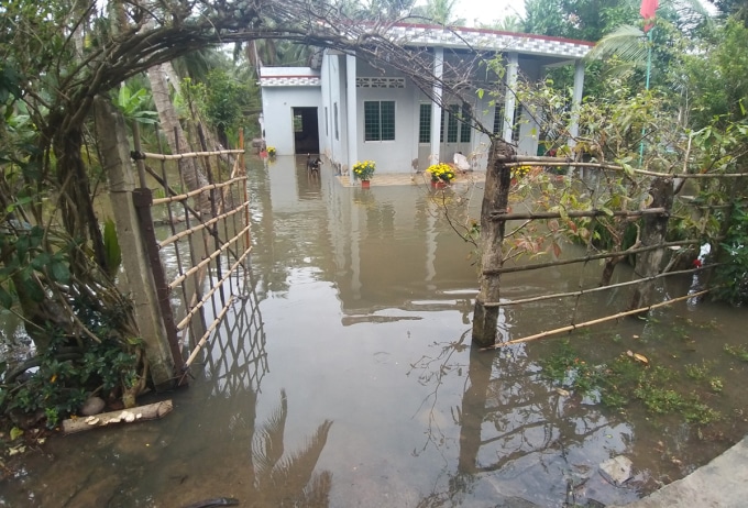 trieu cuong ben tre