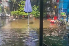 TP.HCM, Bến Tre, Cần Thơ, Trà Vinh: Triều cường dâng cao, người dân khốn khổ ngày đầu năm