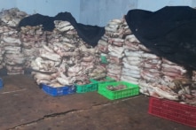 Đồng Tháp: Phát hiện kho chứa 4 tấn mèo đông lạnh không rõ nguồn gốc