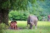 "Chuyện làng tôi" cũng là chuyện của chúng ta